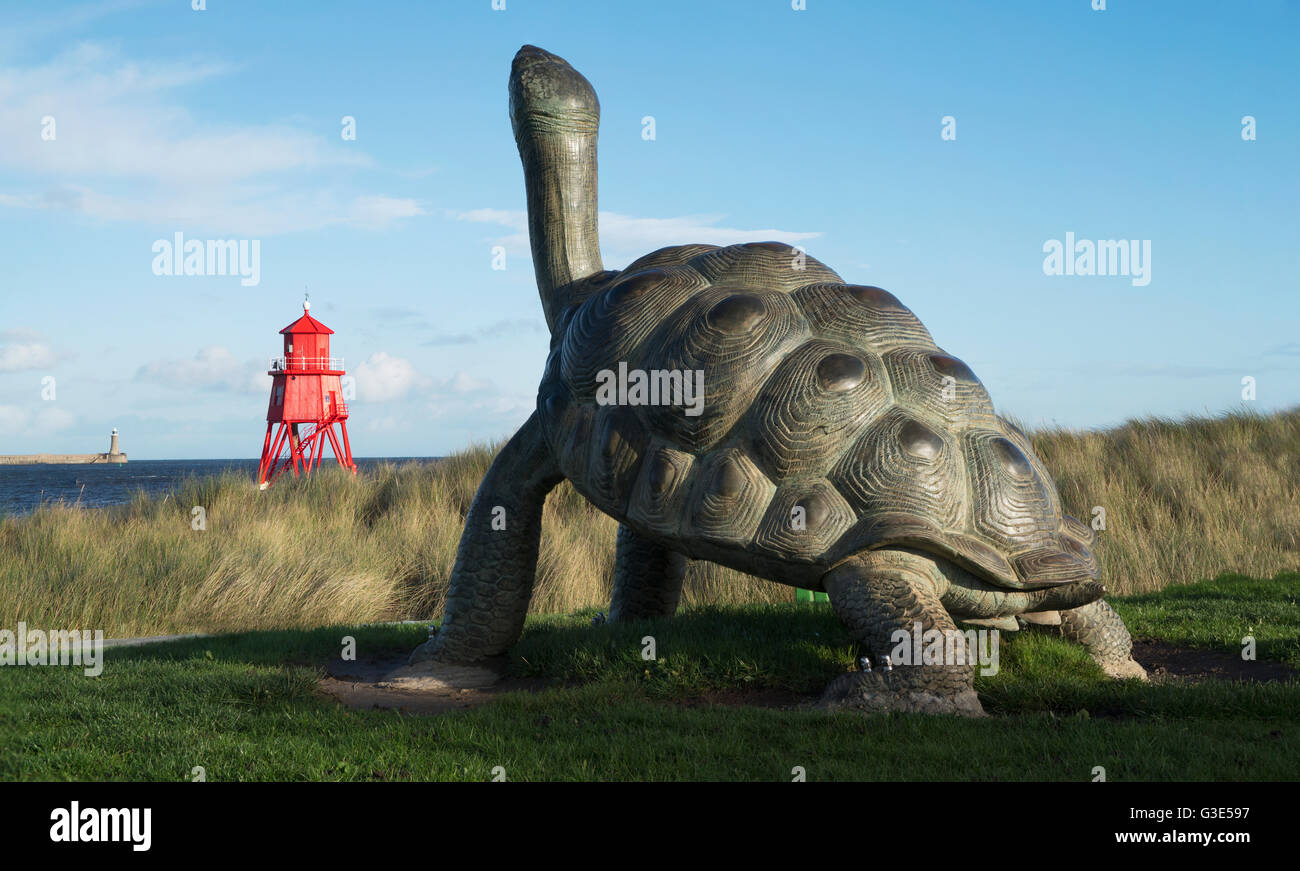 Scultura di una tartaruga e la mandria Groyne Faro; South Shields, Tyne and Wear, Inghilterra Foto Stock