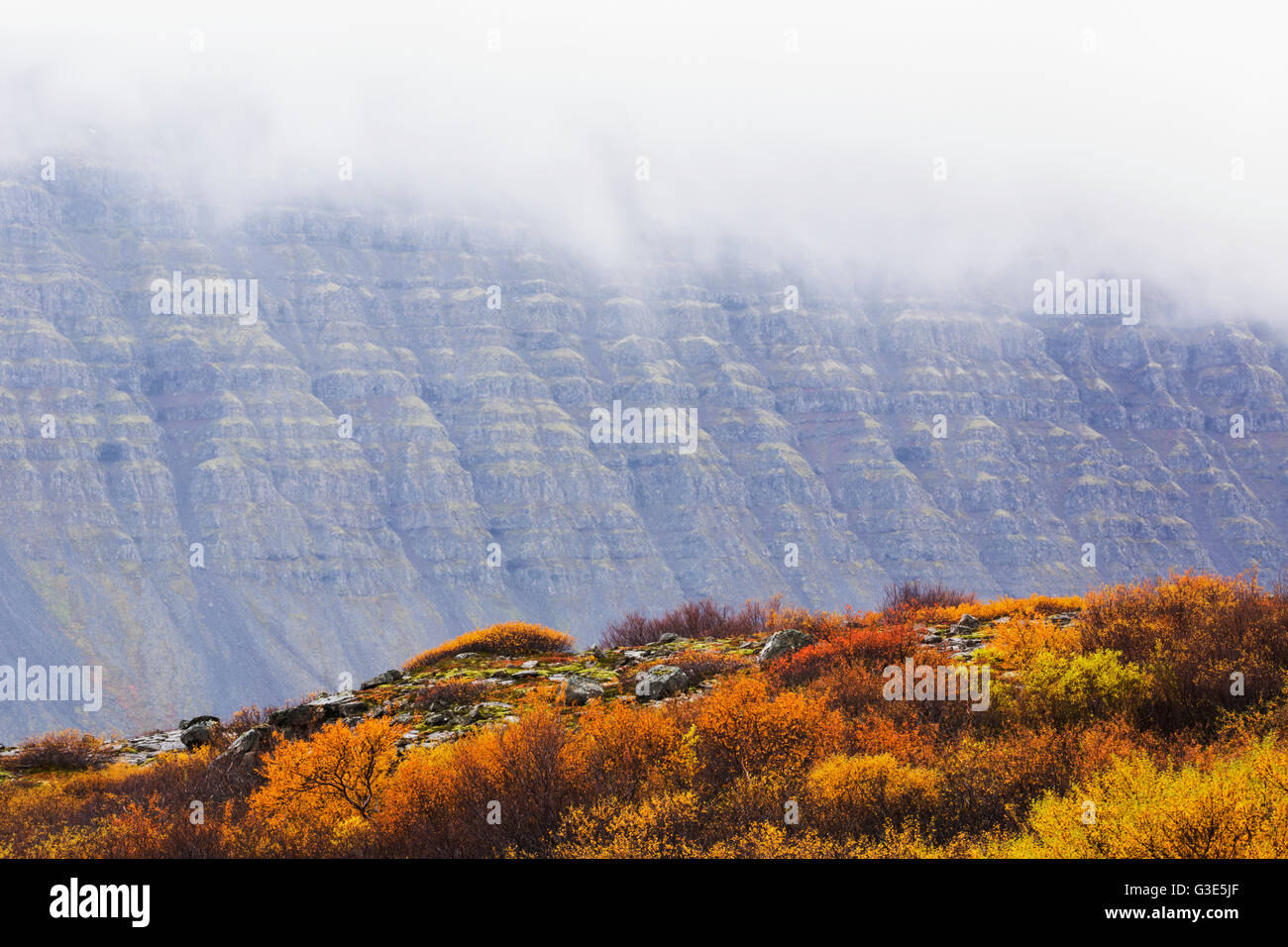 Il tiered dirupi del Westfjords sono avvolte in nuvole e la nebbia in autunno inizia in Islanda; Islanda Foto Stock