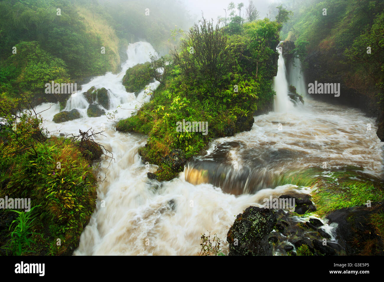 Fiume Hanawi inondazioni in heavy rain; Maui, Hawaii, Stati Uniti d'America Foto Stock