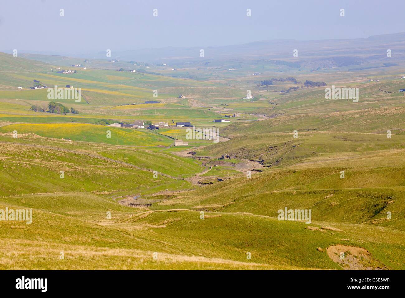 Moorland sopra Harwood Beck, Fiume Tees, foresta di Teesdale, North Pennines, Durham Dales, County Durham, Inghilterra, Regno Unito. Foto Stock