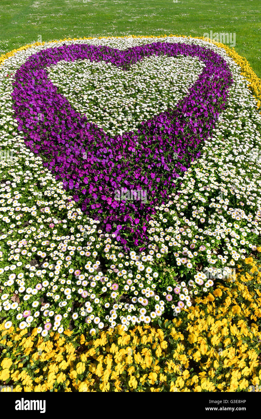 Letto di fiori a forma di cuore Foto stock - Alamy