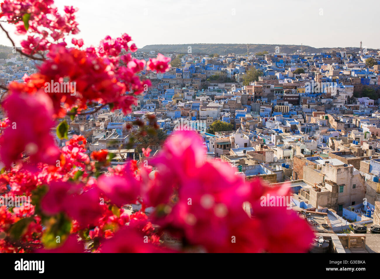 Jodhpur la città blu visto dal Forte Mehrangarh, Rajasthan, India, Asia Foto Stock