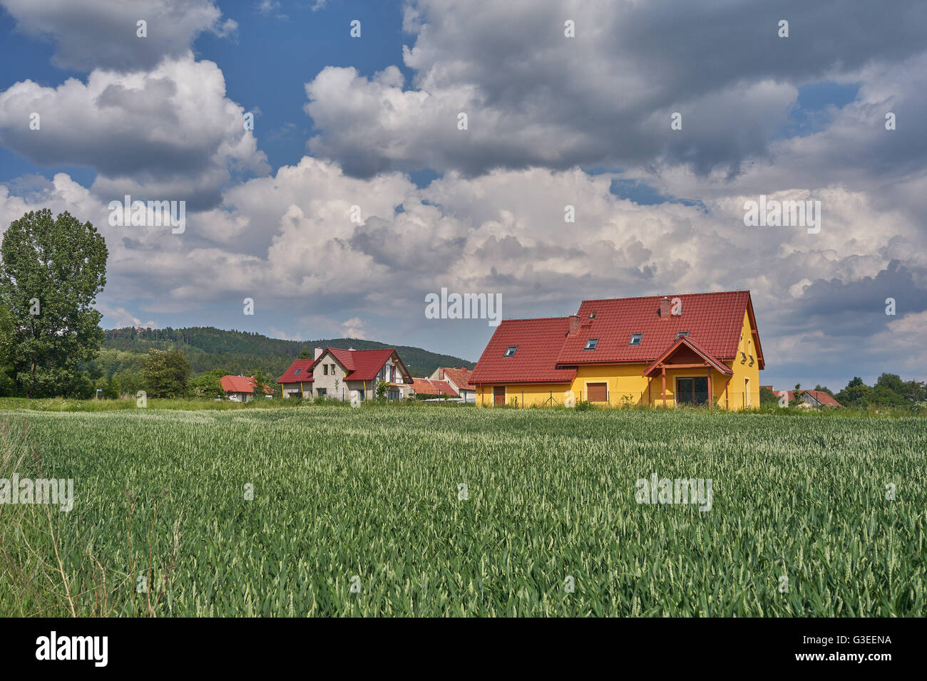 Blu cielo nuvoloso su germinando campi di grano Bassa Slesia Polonia Foto Stock