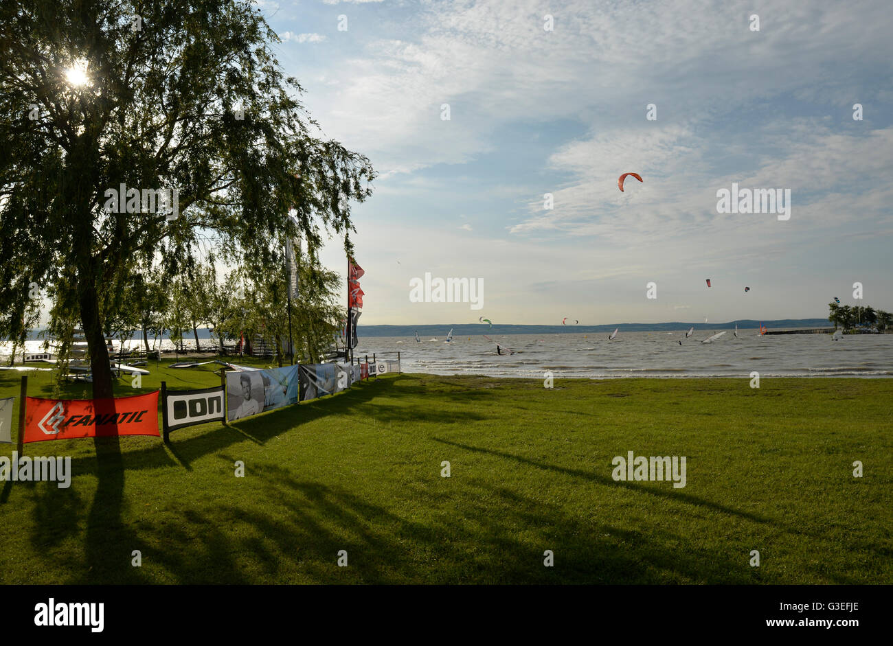 Podersdorf am See, Neusiedlersee, Burgenland, Austria Foto Stock