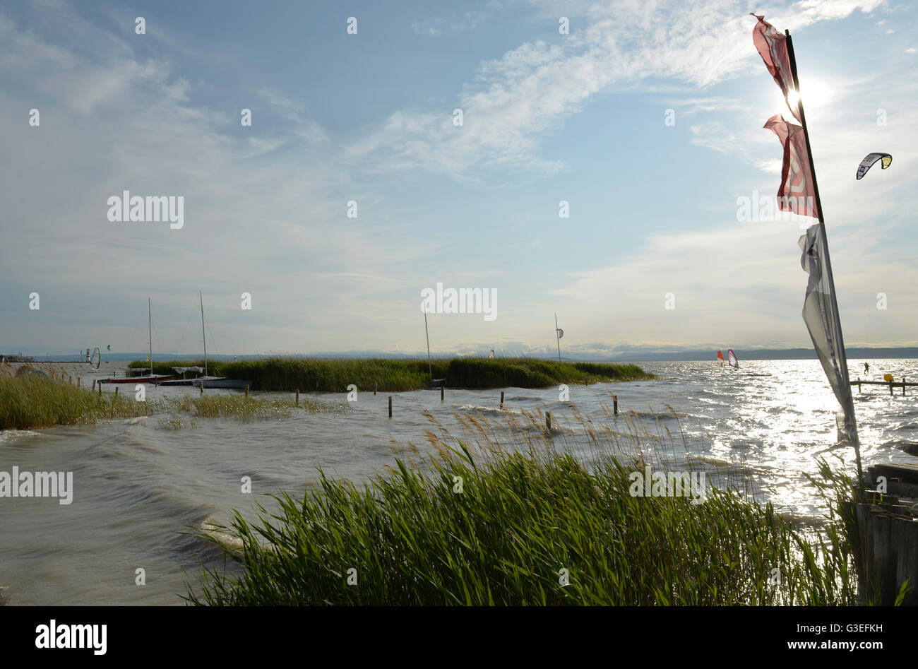 Podersdorf am See, Neusiedlersee, Burgenland, Austria Foto Stock