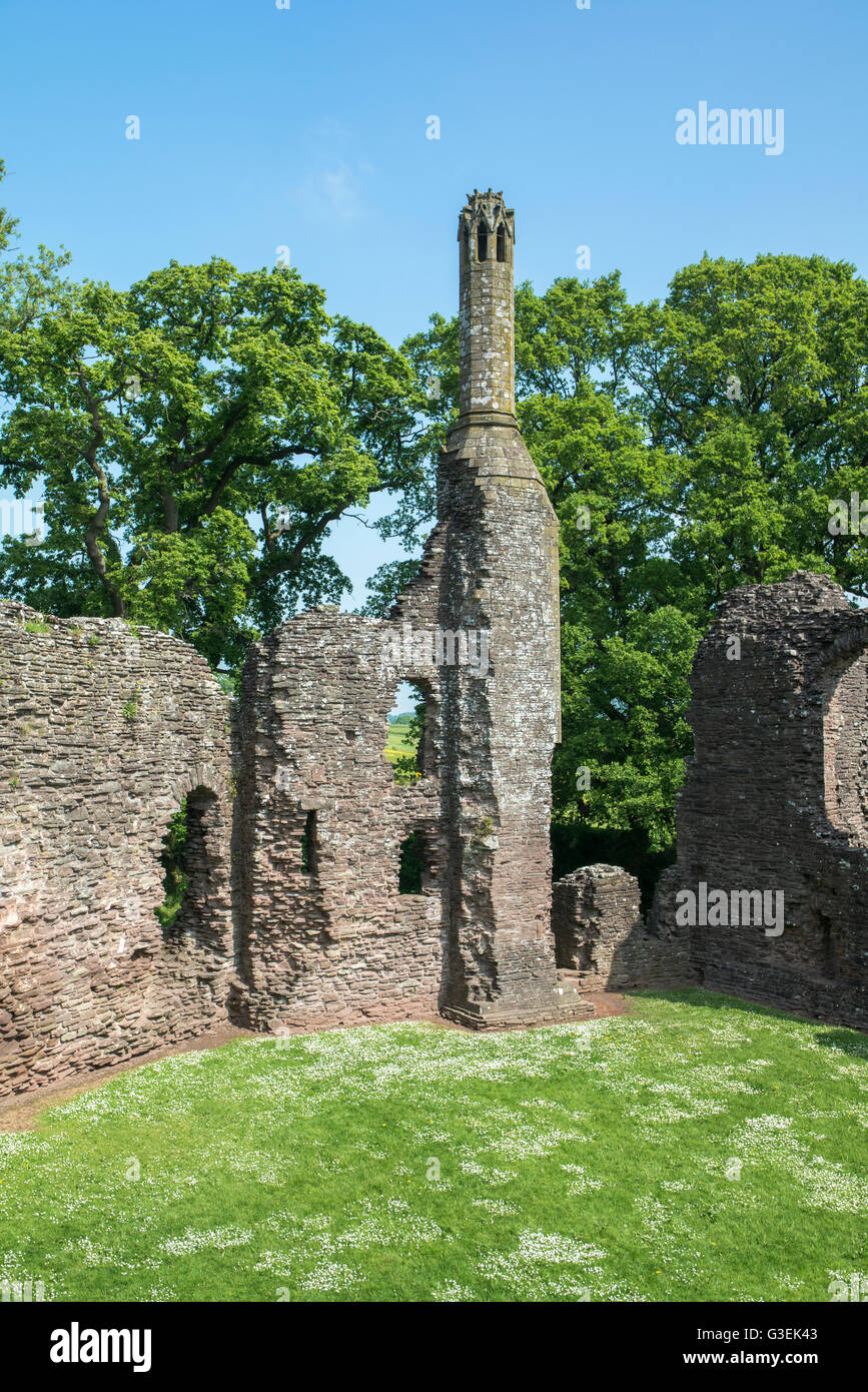 Le pittoresche rovine di un piccolo castello su un luminoso giorno d'estate. Foto Stock