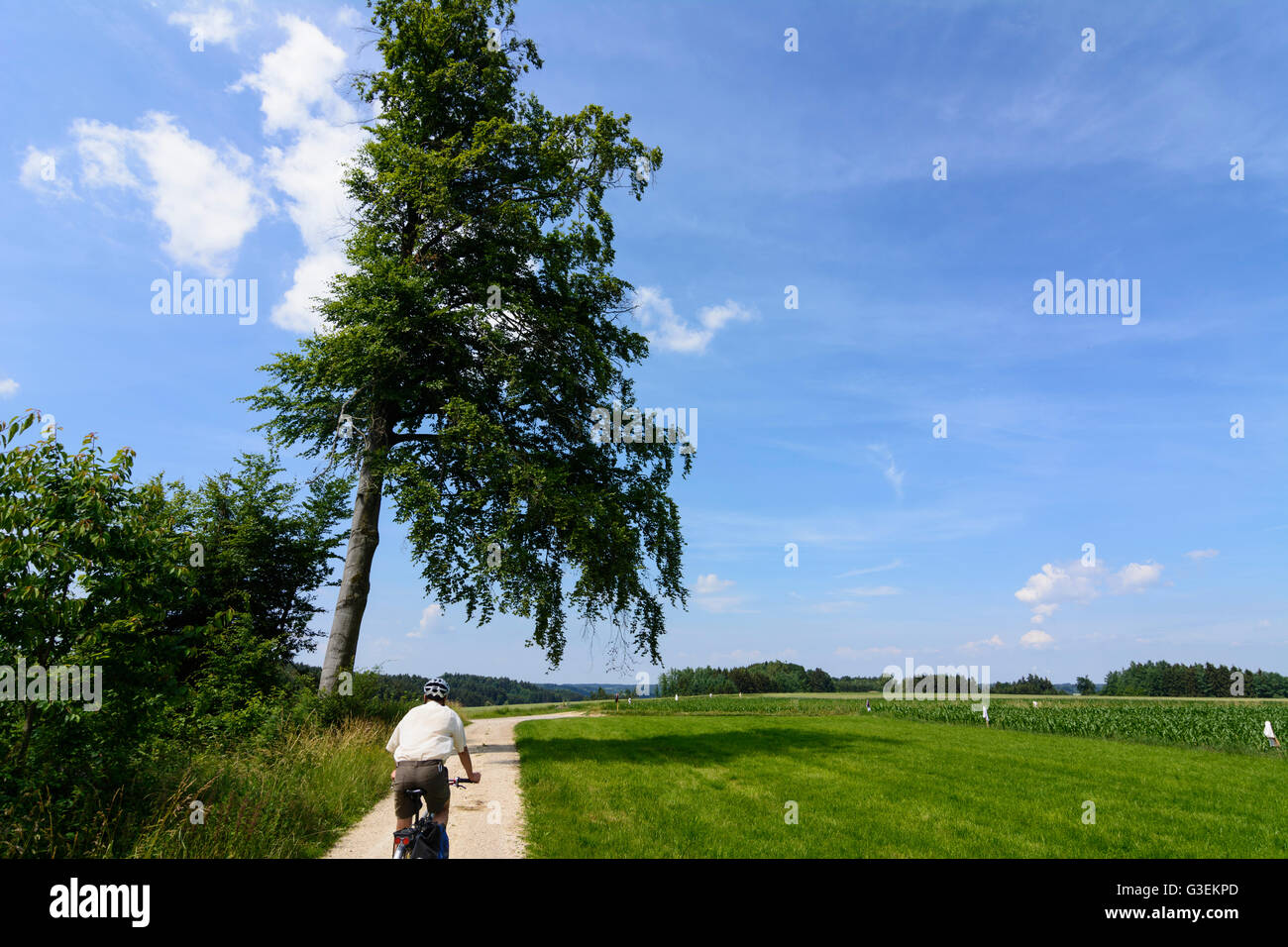 I ciclisti nel parco naturale delle foreste occidentali Augusta, in Germania, in Baviera, Baviera, Schwaben, Svevia, Altenmünster Foto Stock