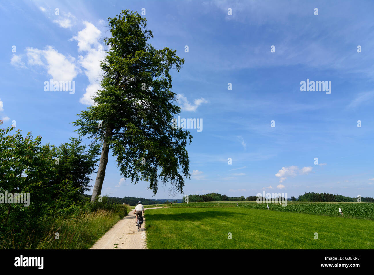 I ciclisti nel parco naturale delle foreste occidentali Augusta, in Germania, in Baviera, Baviera, Schwaben, Svevia, Altenmünster Foto Stock