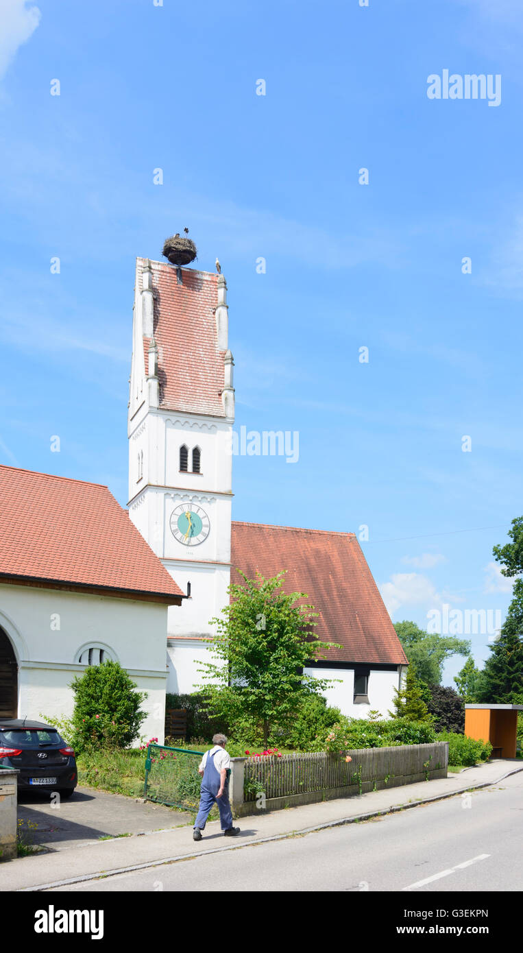 Chiesa di San Nicolò in Zusamzel, nido di cicogna, in Germania, in Baviera, Baviera, Schwaben, Svevia, Altenmünster Foto Stock