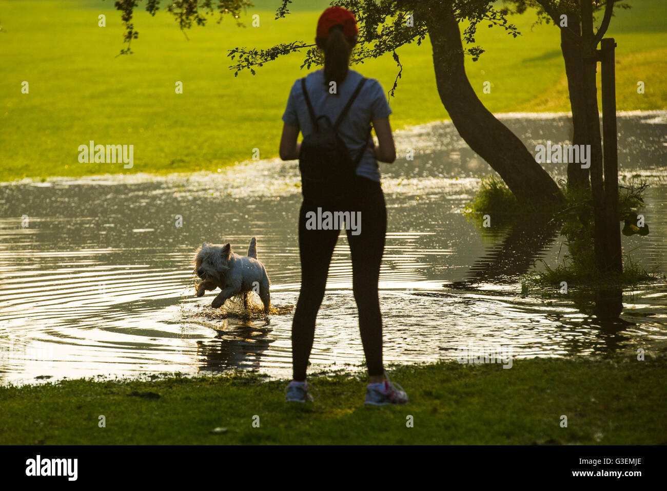 Inondazioni in Londra a creare un pool fpr cani a giocare in un parco di Londra Foto Stock