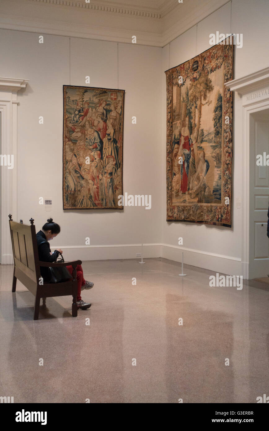 Virginia il Museo delle Belle Arti a Richmond Foto Stock