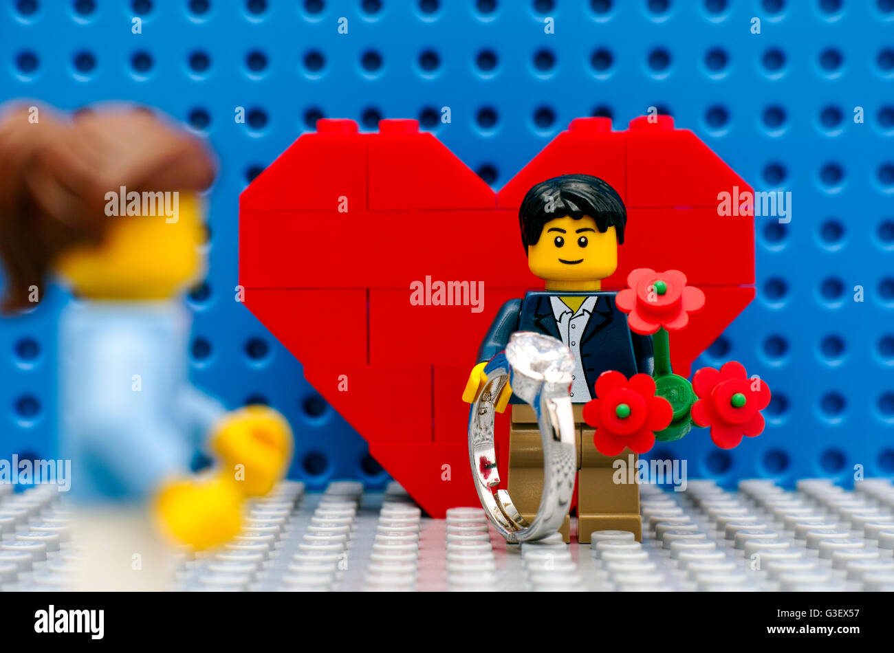 Lego minifigure uomo con anello e fiori rossi incontro la sua fidanzata  nella parte anteriore del cuore su Lego le piastre di base Foto stock -  Alamy