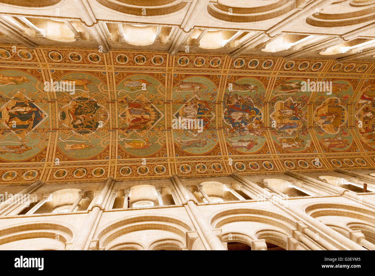 Cattedrale di Ely navata il soffitto dipinto; Cattedrale di Ely interno, Ely Cambridgeshire East Anglia UK Foto Stock