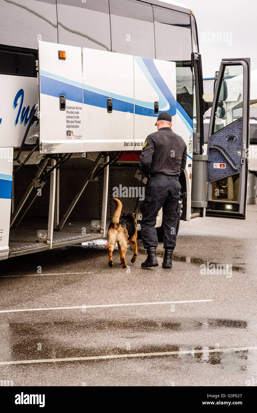 Maryland Transportation Authority cane di polizia, Cruise Terminal, porto di Baltimora, Locust Point, Baltimore, MD Foto Stock
