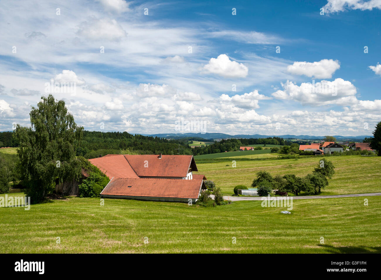 Vista sul paesaggio vicino Neukirchen vorm Wald, regione Donau-Wald, Foresta Bavarese, Bassa Baviera, Baviera, Germania Foto Stock