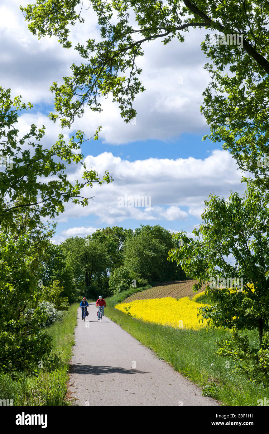 Pista ciclabile Schambachtalbahn Ingolstadt - Riedenburg, Baviera, Germania Foto Stock