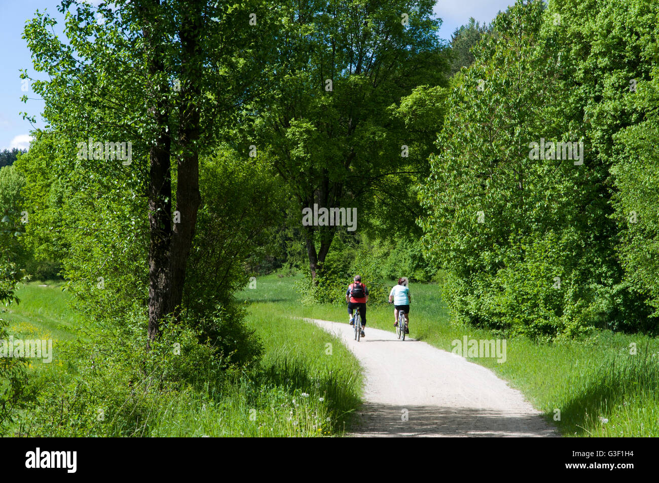 Pista ciclabile Schambachtalbahn, Schambachtal nei pressi di Riedenburg, Baviera, Germania Foto Stock
