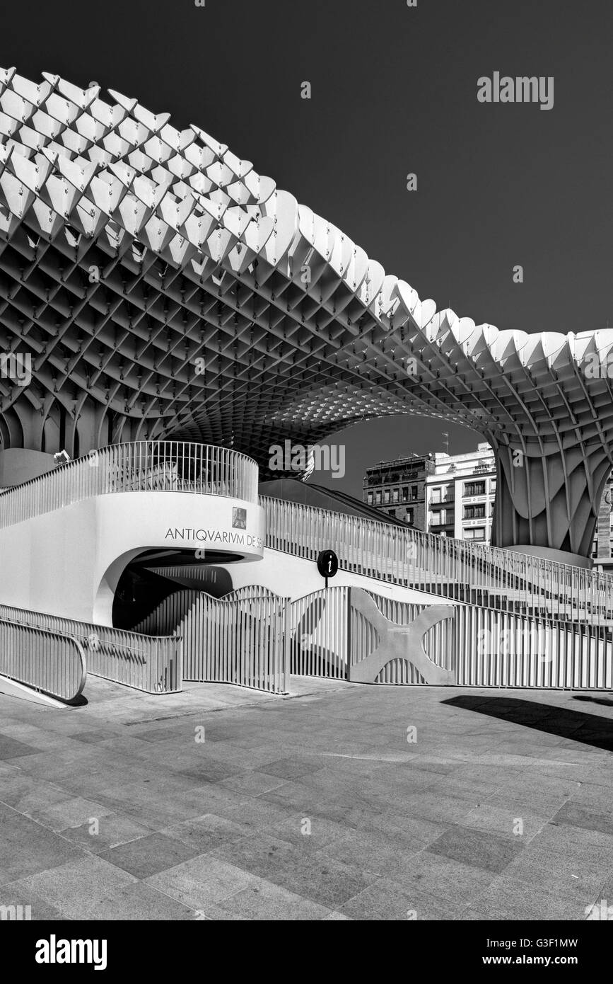 Metropol Parasol, una costruzione in legno, Plaza de la Encarnación, Siviglia, Andalusia, Spagna, Europa Foto Stock