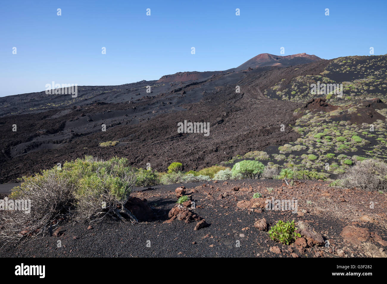 Flusso di lava del vulcano Teneguia, La Palma, scoppiata nel 1971, Isole Canarie, Spagna, Europa Foto Stock
