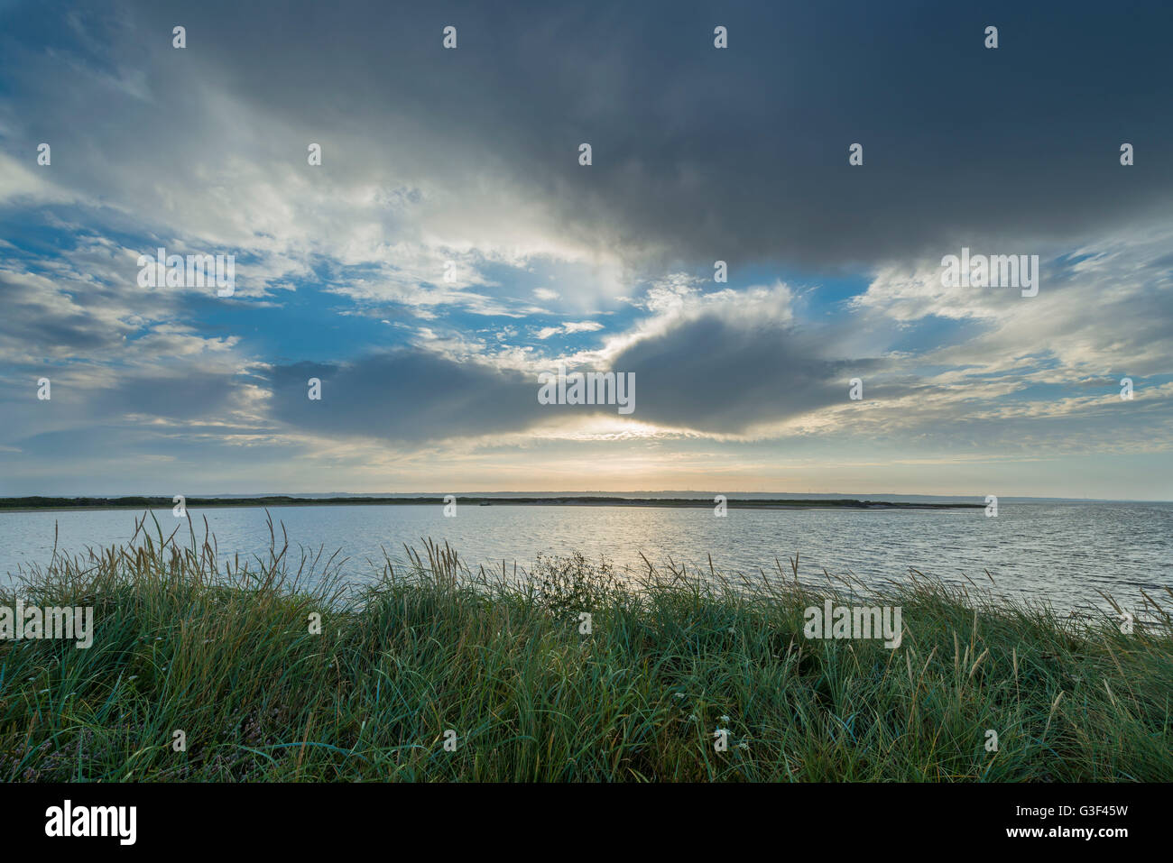 Sulla spiaggia di Baia Mare, Krig Vig, il tuo parco nazionale, Agger, Nord dello Jutland, Danimarca Foto Stock