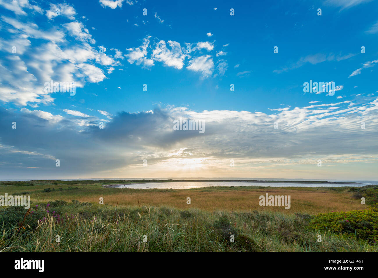 Il paesaggio costiero al mattino, Krig Vig, il tuo parco nazionale, Agger, Nord dello Jutland, Danimarca Foto Stock