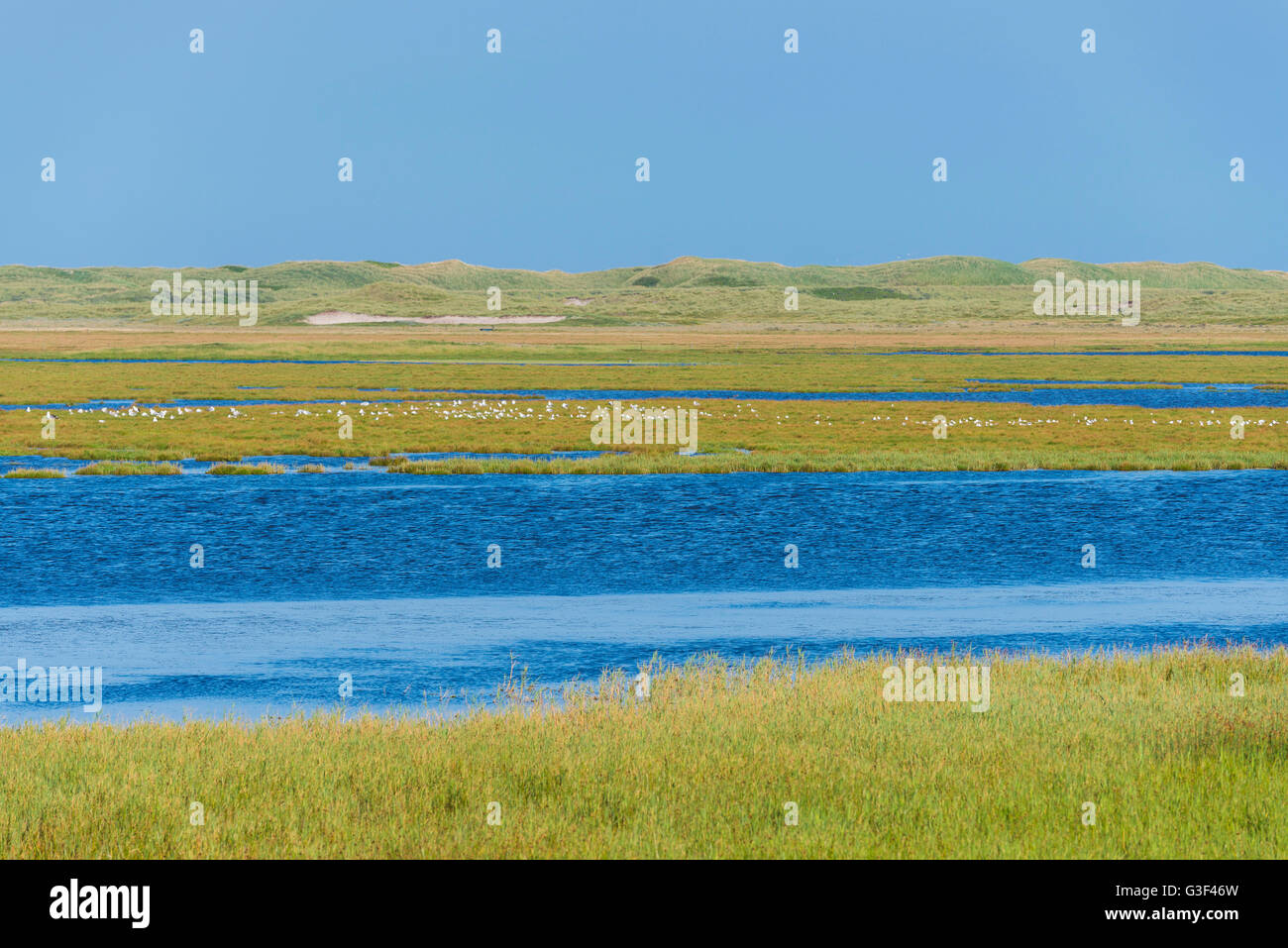 Il paesaggio costiero, il tuo parco nazionale, Agger, Nord dello Jutland, Danimarca Foto Stock
