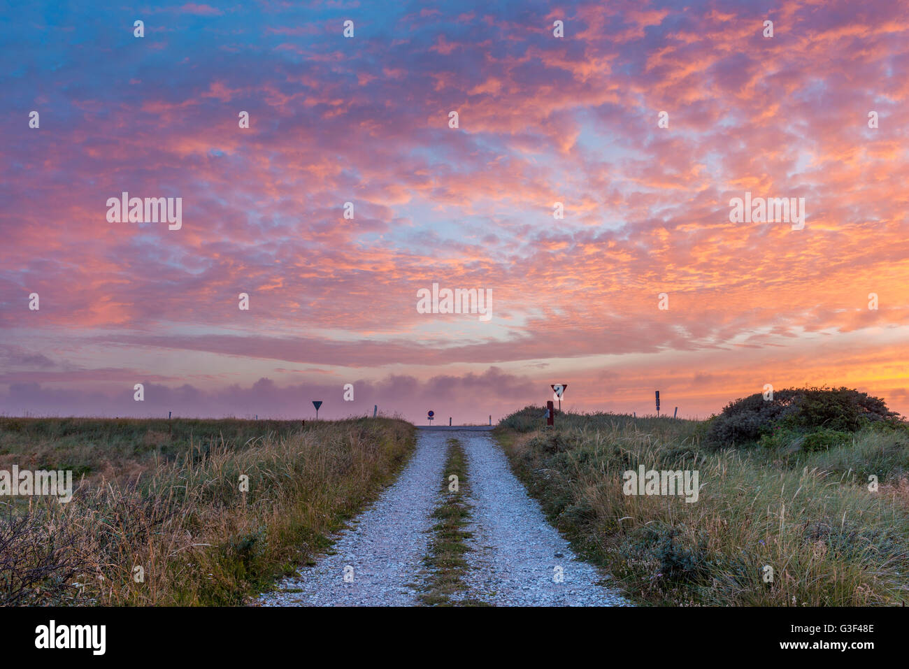 Strada sterrata al tramonto, il tuo parco nazionale, Agger, Nord dello Jutland, Danimarca Foto Stock