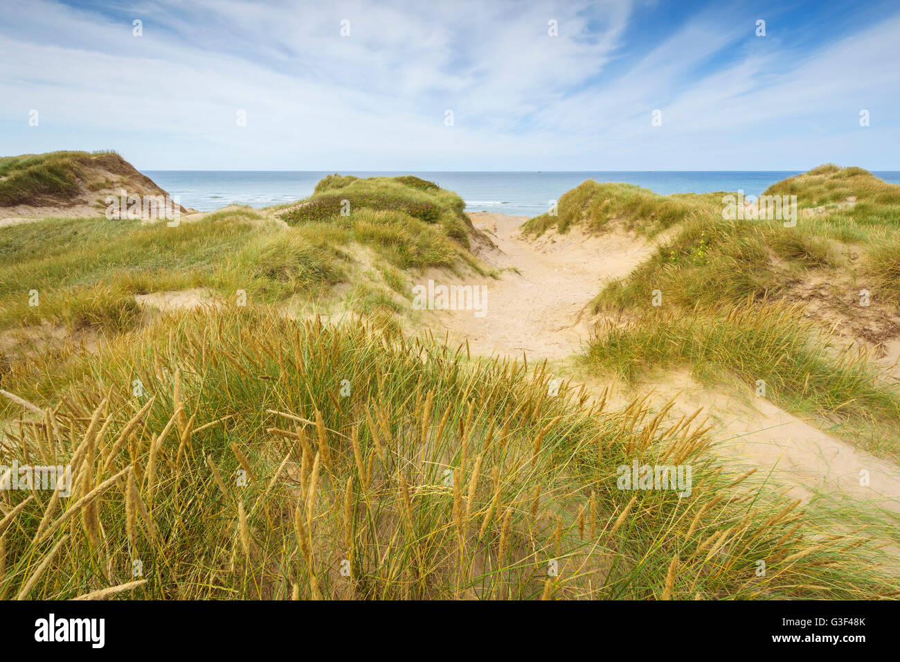 Le dune, il tuo parco nazionale, Agger, Nord dello Jutland, Danimarca Foto Stock
