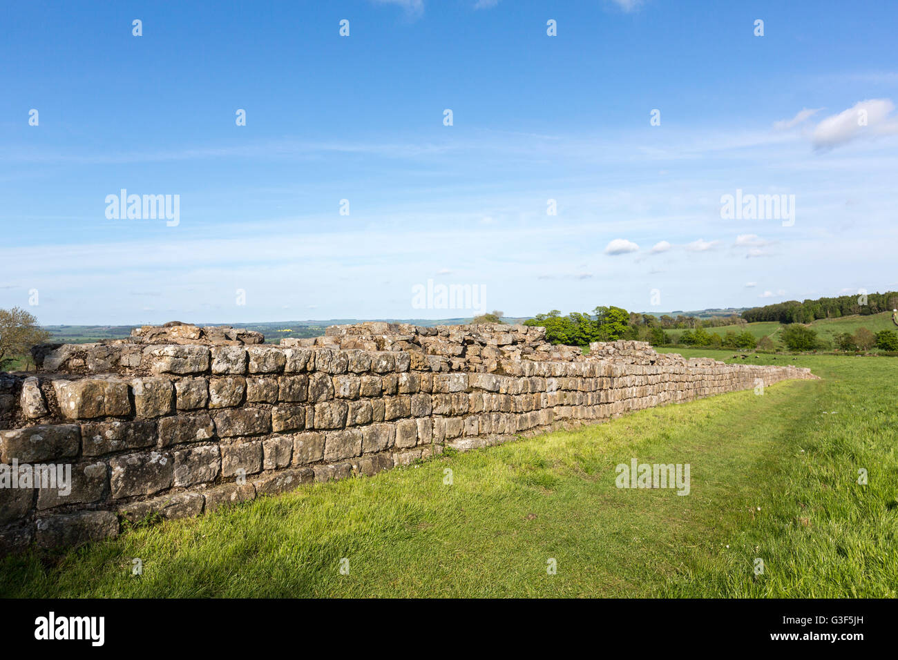 Rigg in acciaio, il vallo di Adriano, parco nazionale di Northumberland, Inghilterra Foto Stock