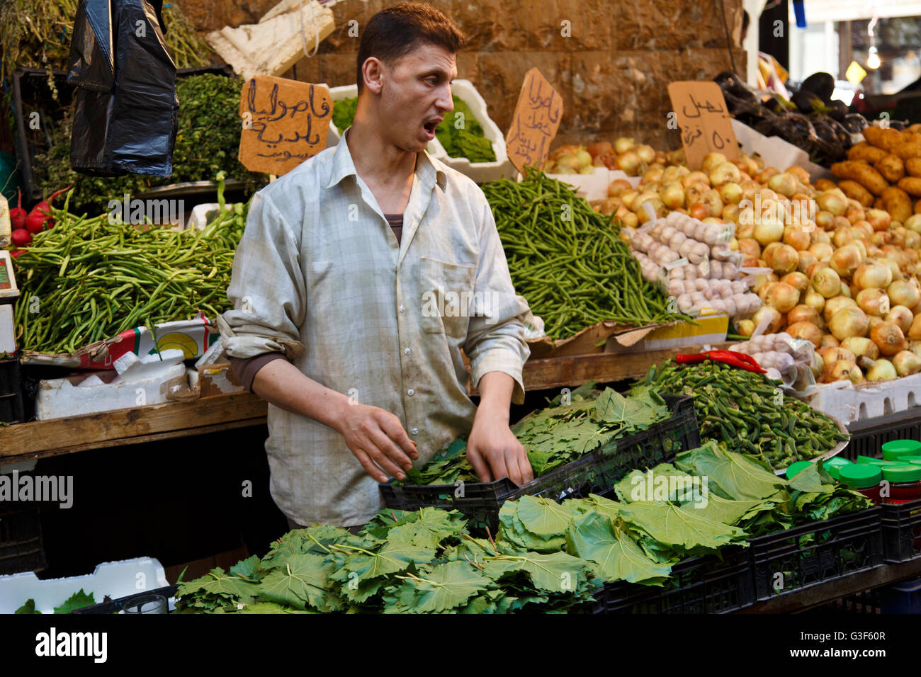 Giovane uomo vendita di foglie di uva in Amman, Giordania Foto Stock