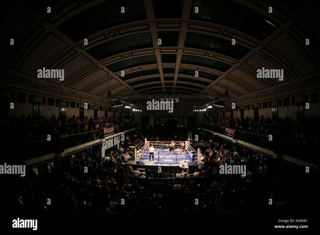 Una vista generale di Charlie Duffield contro Vladimir Idranyi internazionale in Concorso Light-Heavyweight a York Hall di Londra. Foto Stock