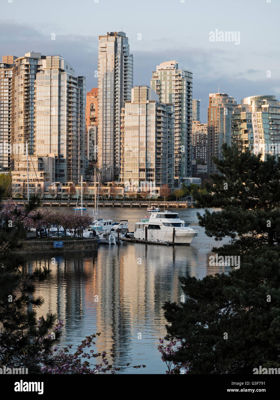 Lo skyline di Vancouver cityscape False Creek vista scena tramonto colori vetro riflettente alto condominio condominio le torri degli edifici Foto Stock