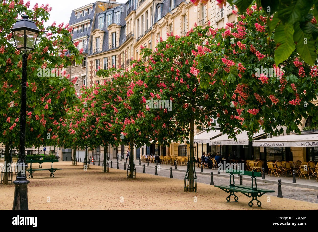 Place Dauphine in primavera, Parigi Foto Stock