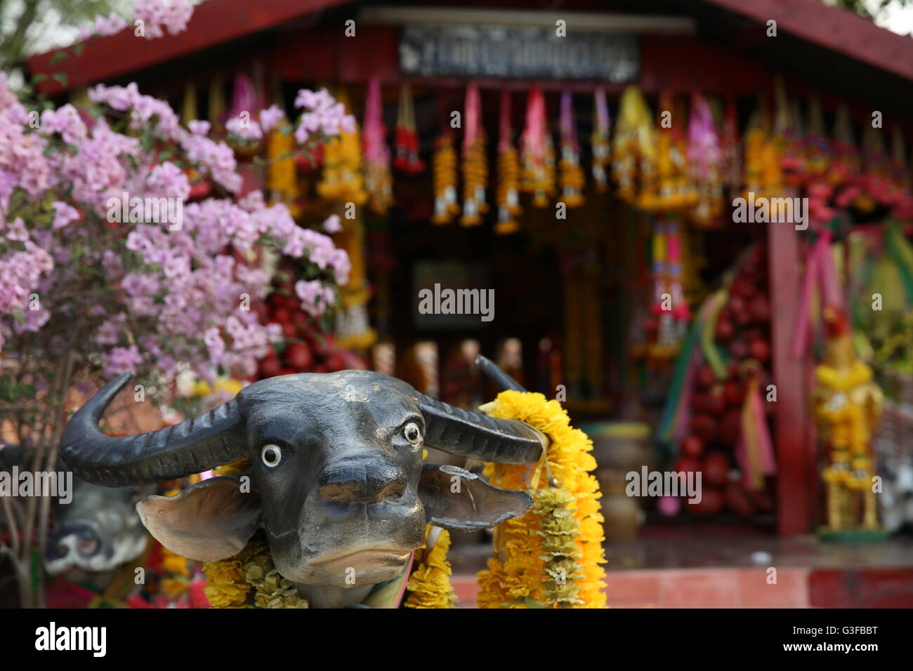 Piccolo Santuario con fiori viola e ghirlande penzolanti dietro una grande statua di buffalo in Nong Khae, Saraburi, Thailandia Foto Stock