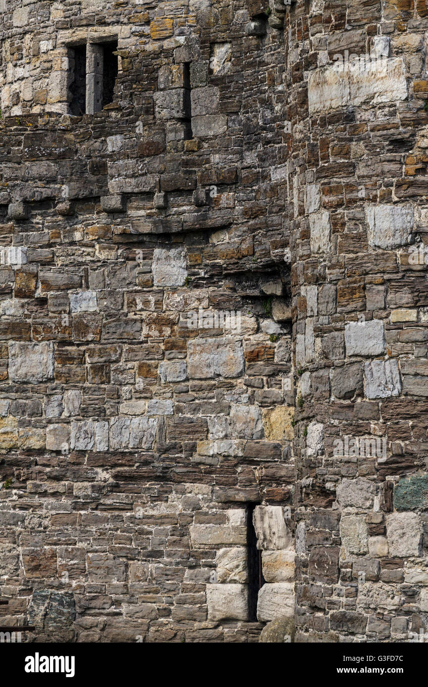 Beaumaris Castle Isola di Anglesey Regno Unito Foto Stock