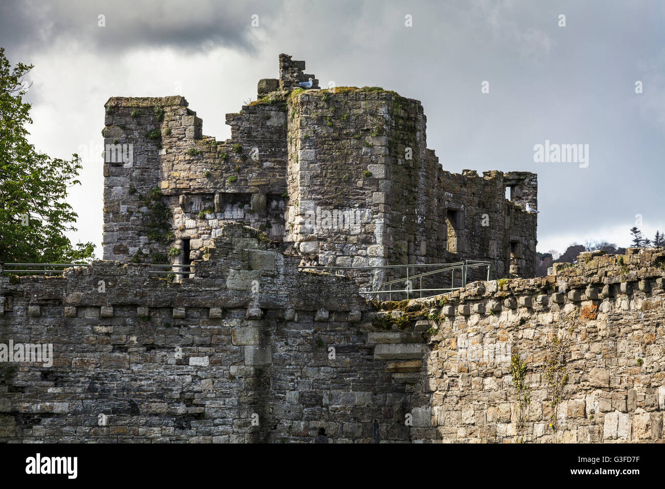 Beaumaris Castle Isola di Anglesey Regno Unito Foto Stock