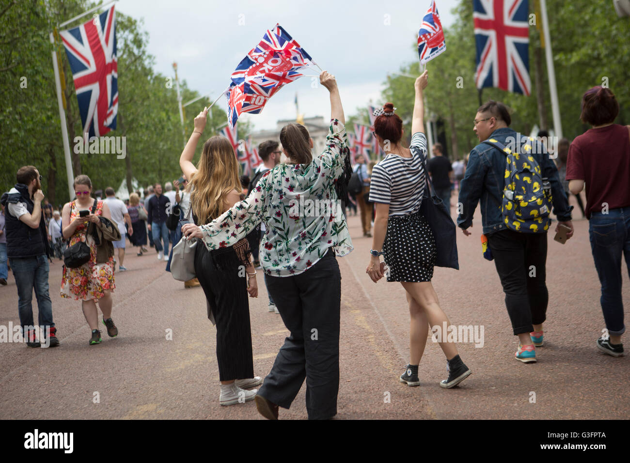 Londra, UK, 11 Giugno, 2016. La folla si raccolgono sul Mall per la RAF fly-passato la conclusione di questo anno di Trooping il colore. La manifestazione di quest'anno ha segnato il Queen's novantesimo compleanno. Marc Gascoigne/Alamy Live News. Foto Stock