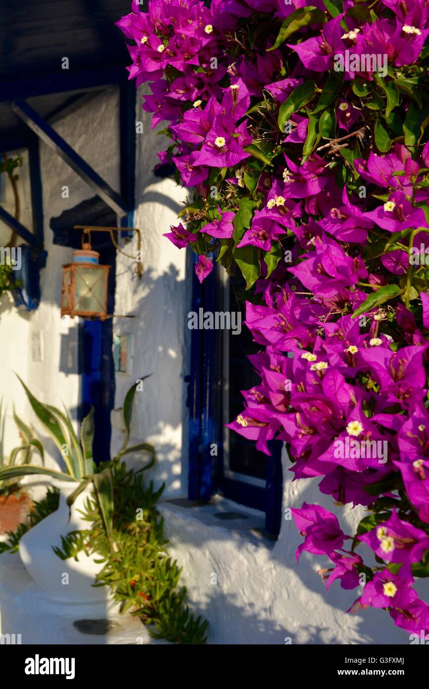 Street e case di città di Skopelos sull'isola greca di Skopelos Foto Stock