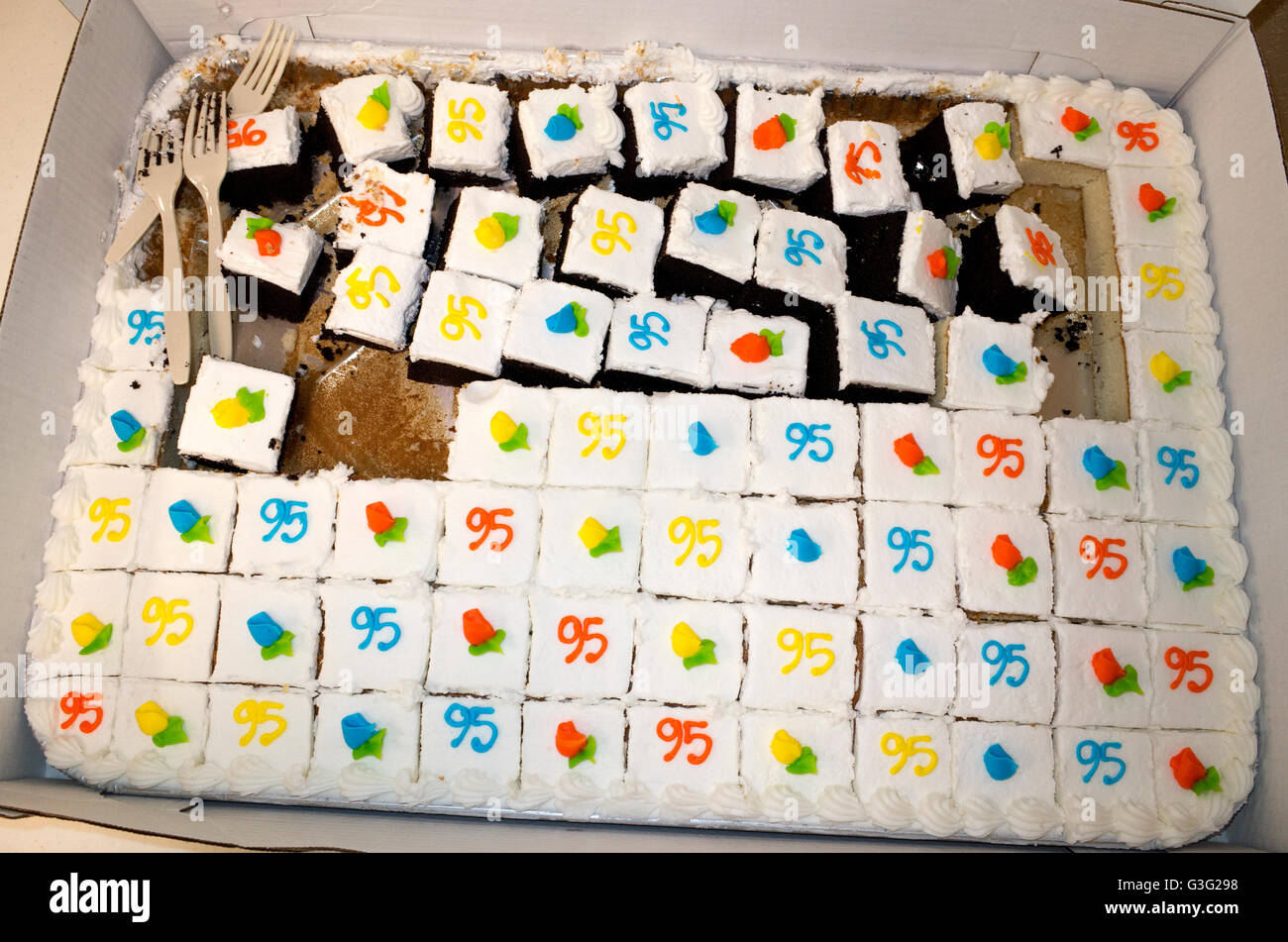 Cioccolato torta di compleanno con glassa bianca e 95 stampato su ogni altro pezzo. Redwood Falls Minnesota MN USA Foto Stock