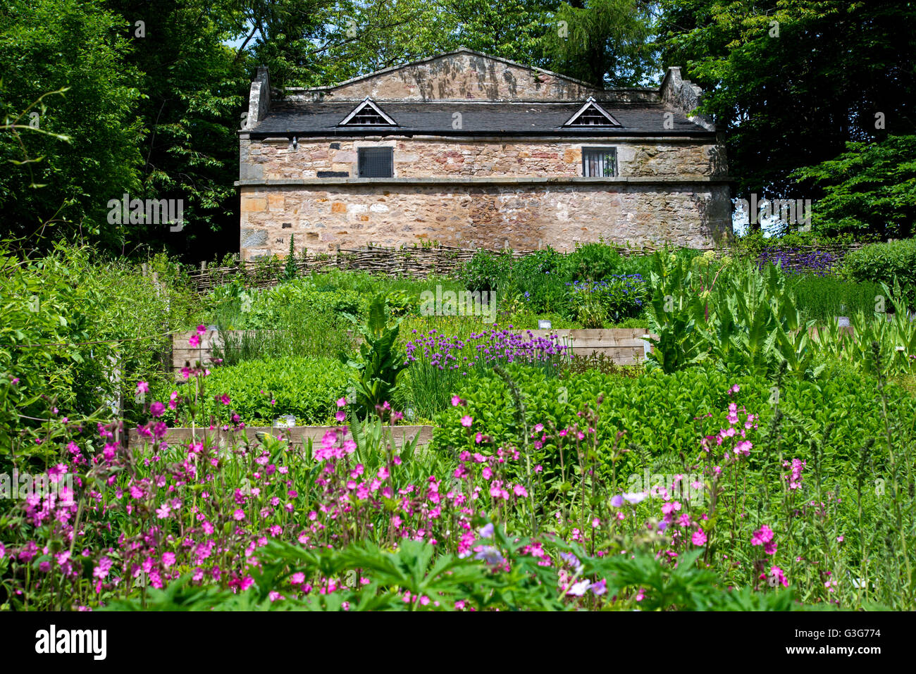 Il Doocot e giardino murato nel parco dell'Hermitage di treccia di Edimburgo. Foto Stock