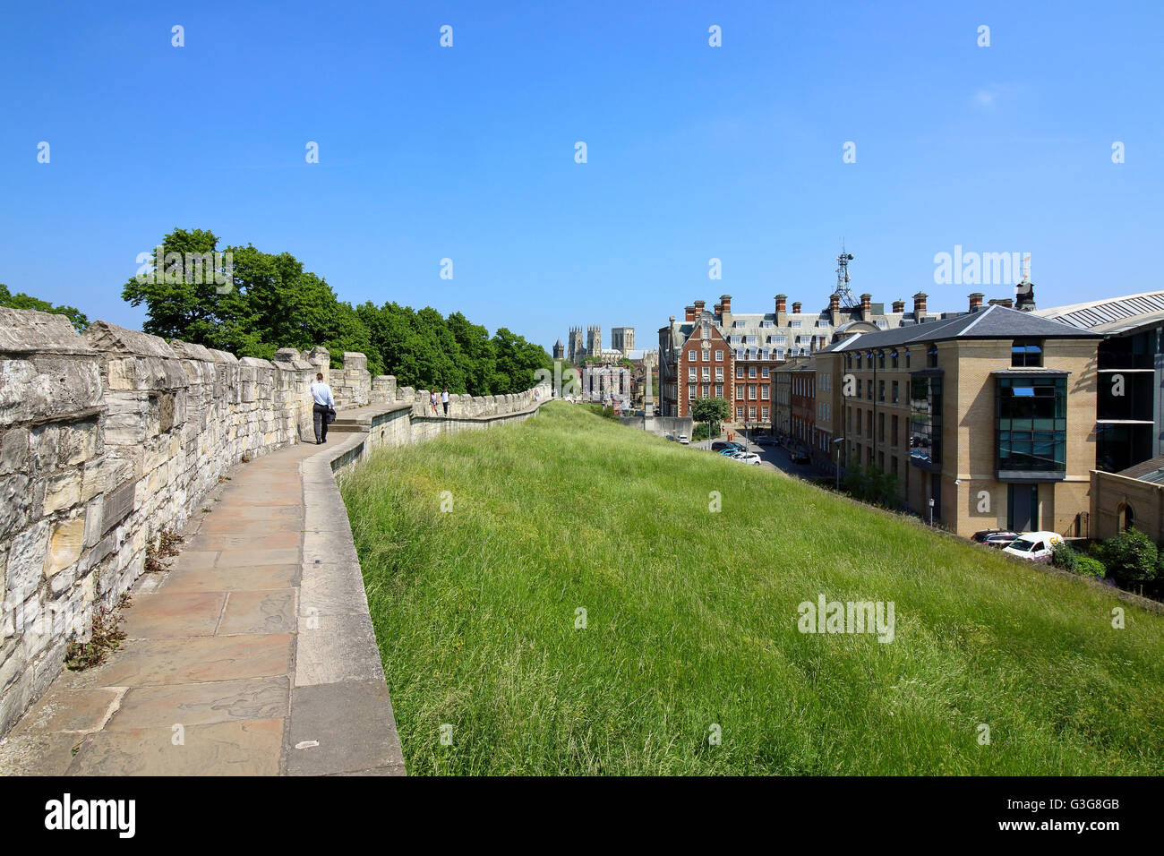 Prati fioriti sulle piste sotto le famose mura medievali del centro storico della città di York su una bella giornata d'estate. Foto Stock