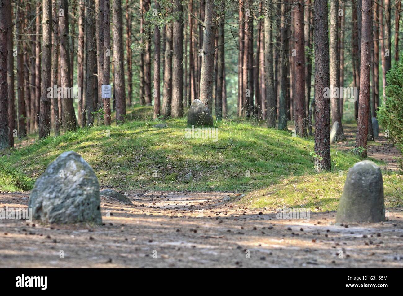 Wesiory, Polonia 25th, giugno 2016 molto caldo e soleggiato in Polonia. La temperatura raggiunge 35 gradi centigradi. La gente visita il Wesiory megalitico di circoli di pietra per nascondere all'ombra degli alberi. Wesiory megalitico di cerchi di pietre e luoghi di sepoltura sono nascondere nel profondo della foresta. Questo posto è stato creato dai Goti probabilmente nel 1° al 3 secolo. Ci sono tre cerchi di pietre e parte della quarta e 20 carriole. Il diametro del cerchio più grande è di 26 metri ed è prevista con le pietre con una altezza di circa 1,5 m. In mezzo vi è qualche stele di pietra Credito: Michal Fludra/Alamy Live News Foto Stock