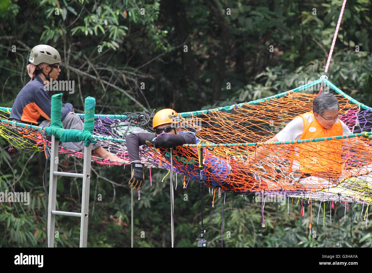 Nido di umana esperienza nel Borneo ritmo di RImba Wildlife Festival 2015. Foto Stock