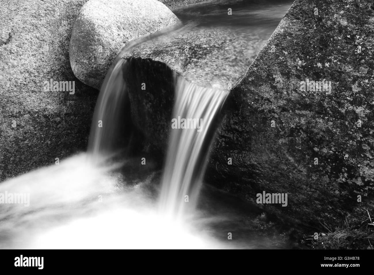 Pozzanghere nebbiosi Foto Stock