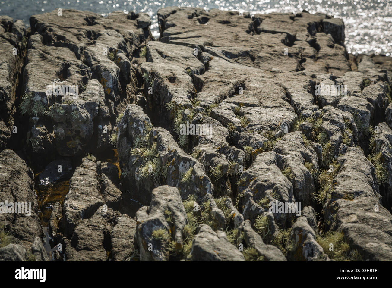 Weathered Jurassic arenaria sulla costa a Elgol, Isola di Skye in Scozia Foto Stock