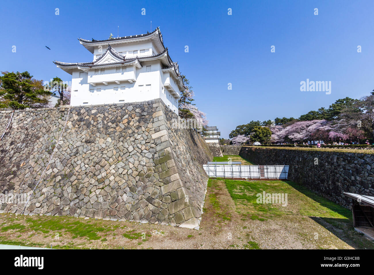 Giappone, il Castello Nagoya. L'angolo sud-ovest torretta, Hitsuhi-saru yagura sulla sommità di Isola di Ishigaki muri in pietra. Fiori di ciliegio e blu del cielo. Foto Stock