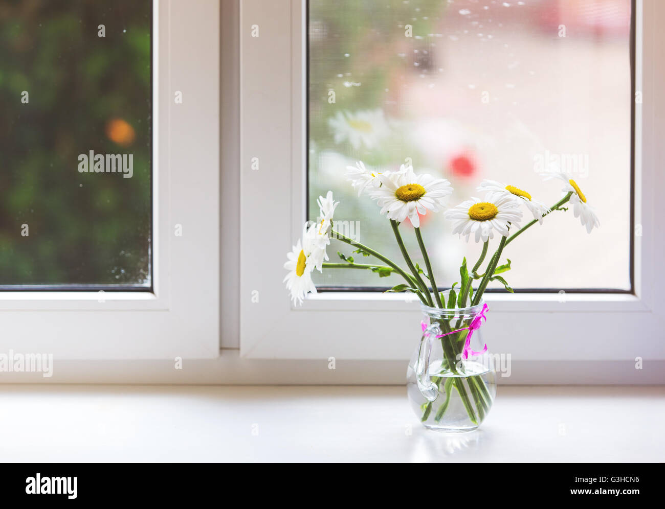 Fiori sul davanzale della finestra della cucina immagini e fotografie stock  ad alta risoluzione - Alamy