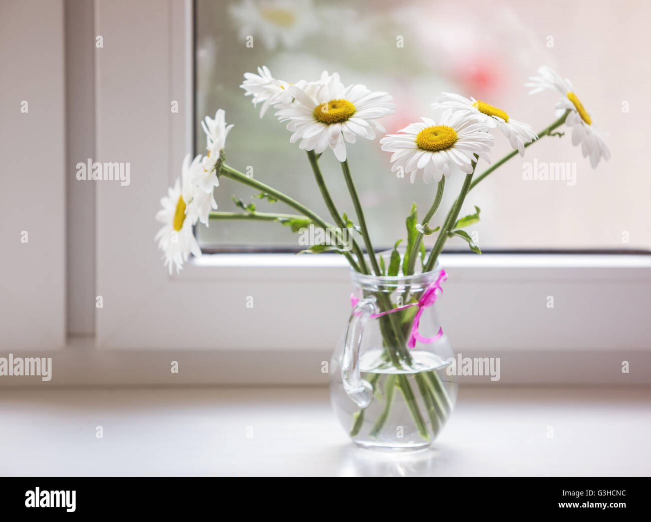 Bouquet di fiori chamomiles sul davanzale della finestra Foto Stock