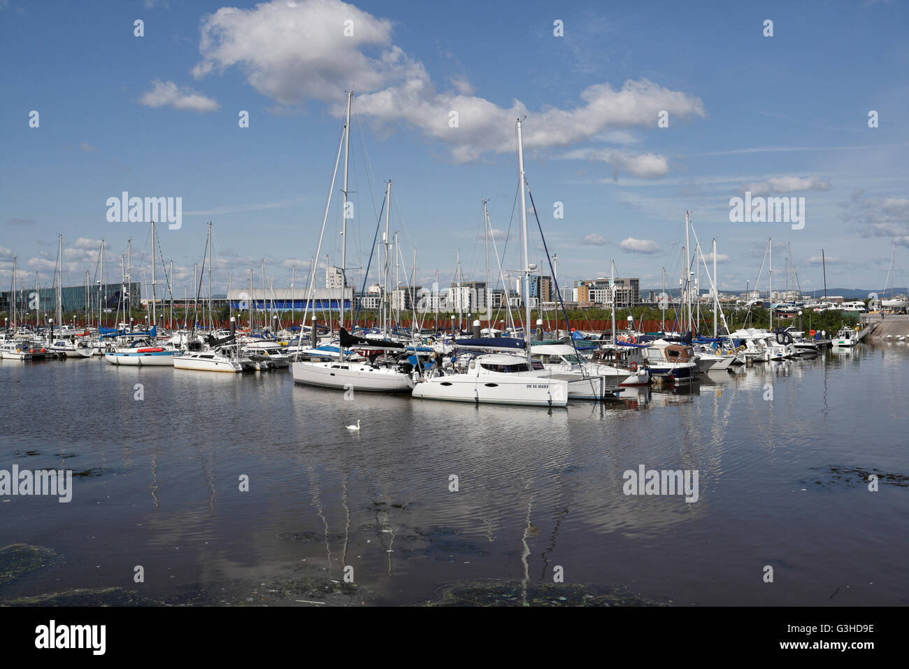 Barche a vela ormeggiate sul lago della baia di Cardiff laguna Galles UK, un sacco di imbarcazioni per il tempo libero Foto Stock