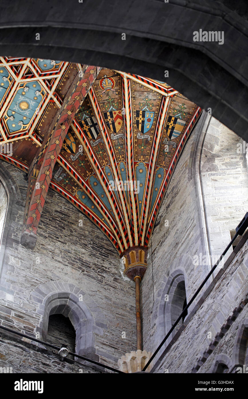 Verniciato colorato vaulting a sostegno del soffitto di St David's Cathedral, Pembrokeshire, West Wales. Foto Stock